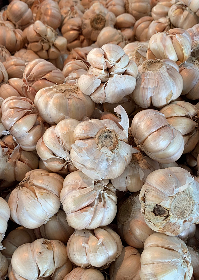 Ramuan Bawang Putih