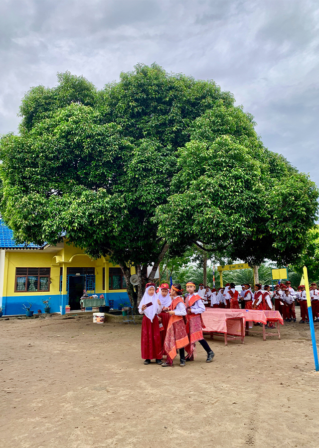 Kandungan Bunga Tanjung