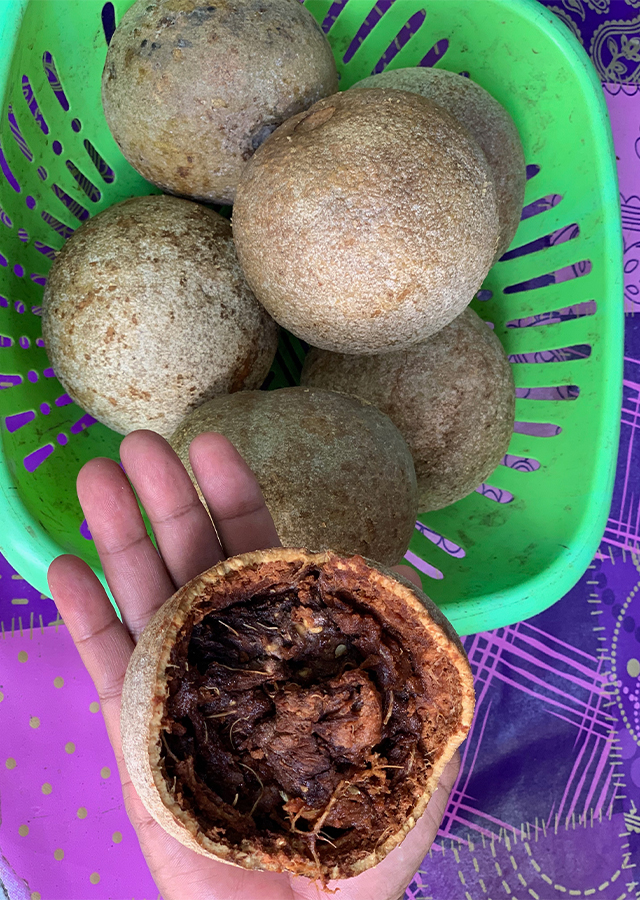 Kandungan Kawista